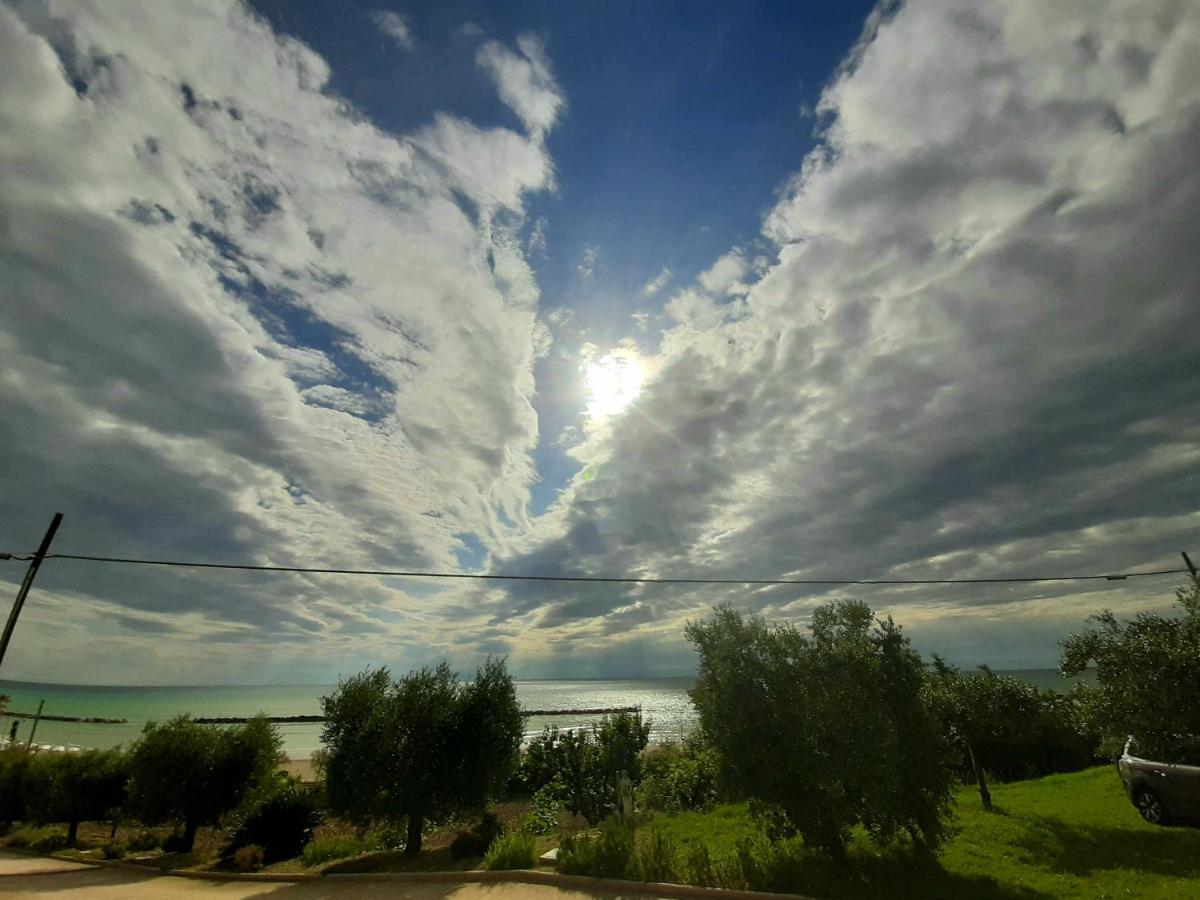 Campofilone Bio Agriturismo Mare In Campagna מראה חיצוני תמונה