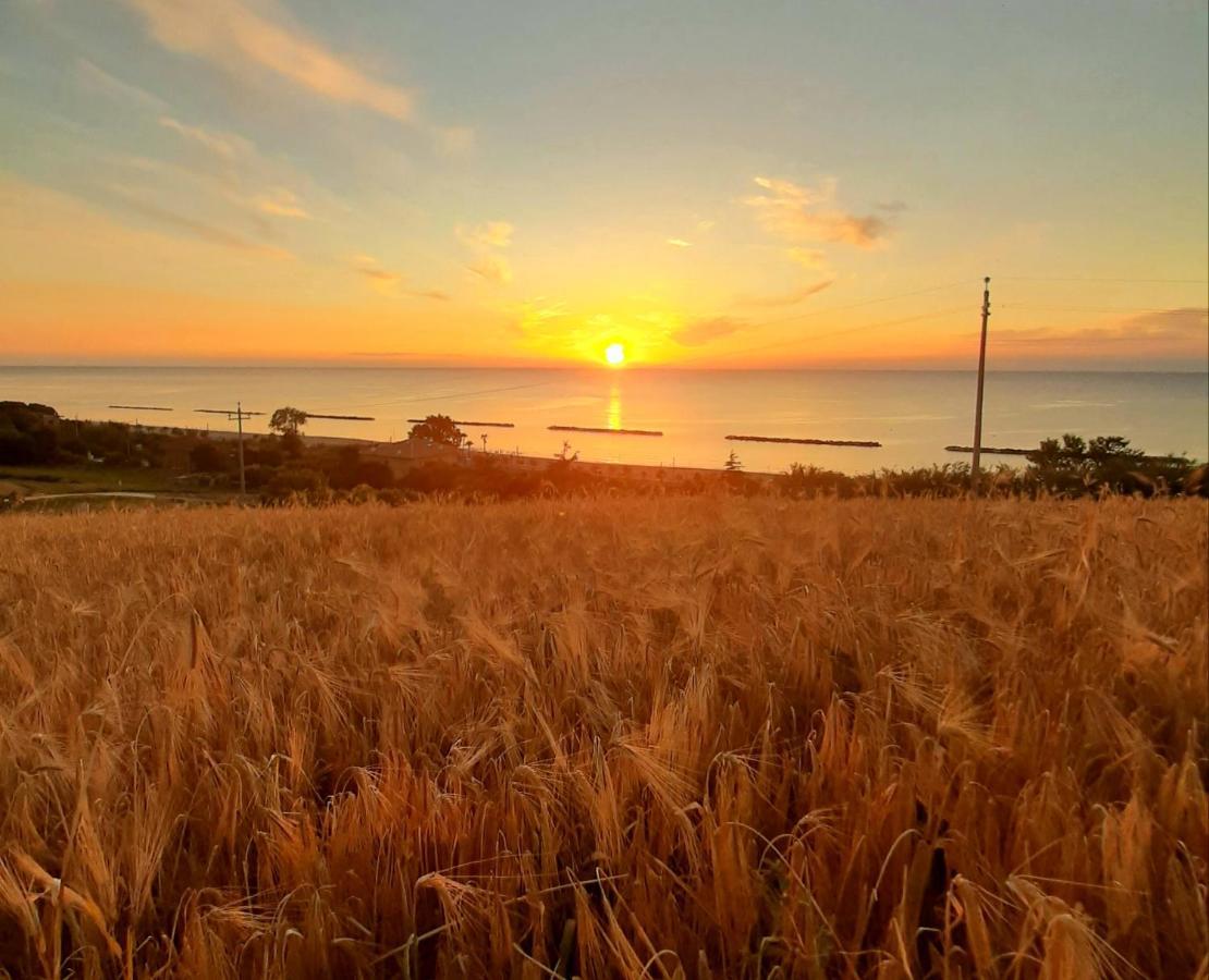 Campofilone Bio Agriturismo Mare In Campagna מראה חיצוני תמונה